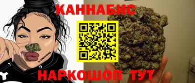 крисы Краснознаменск