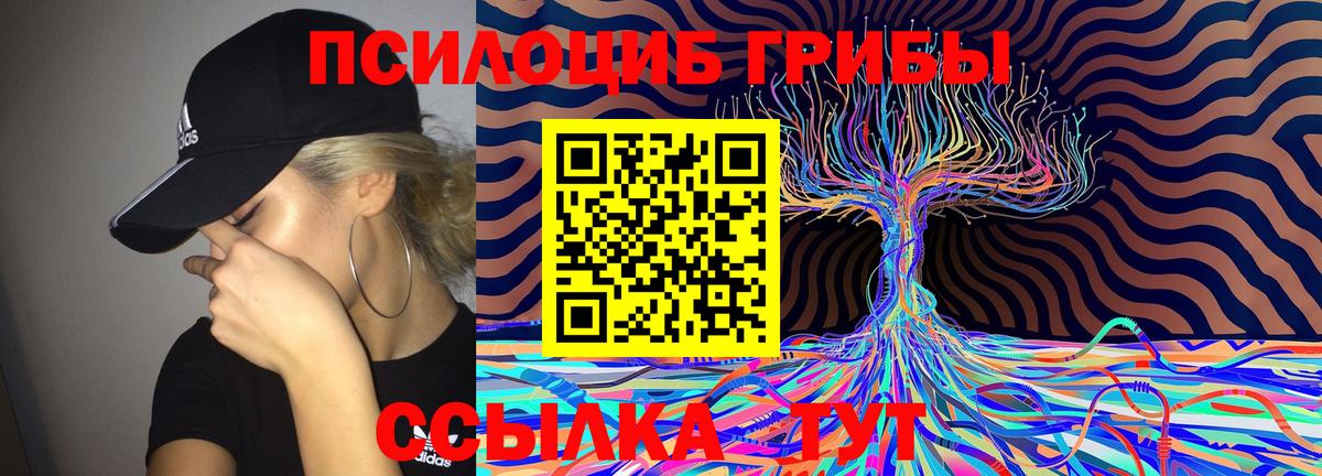 Псилоцибиновые грибы Psilocybe  Вход с VPN  Псилоцибиновые грибы мицелий  Заводоуковск 